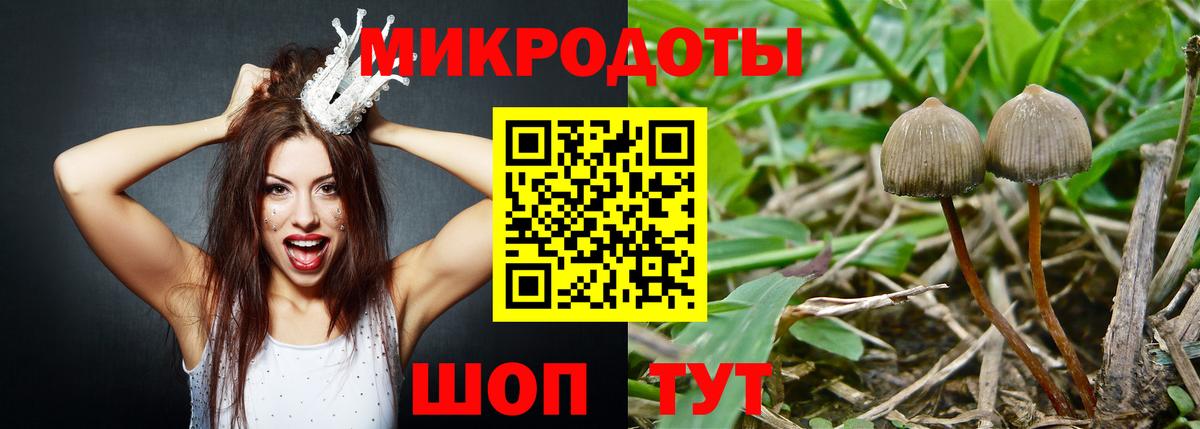 Нефтеюганск  Галлюциногенные грибы мицелий  Вход с VPN  Псилоцибиновые грибы Psilocybine cubensis 